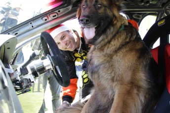 dog Steve Owen practices driver changes with a German Shepherd at the launch today