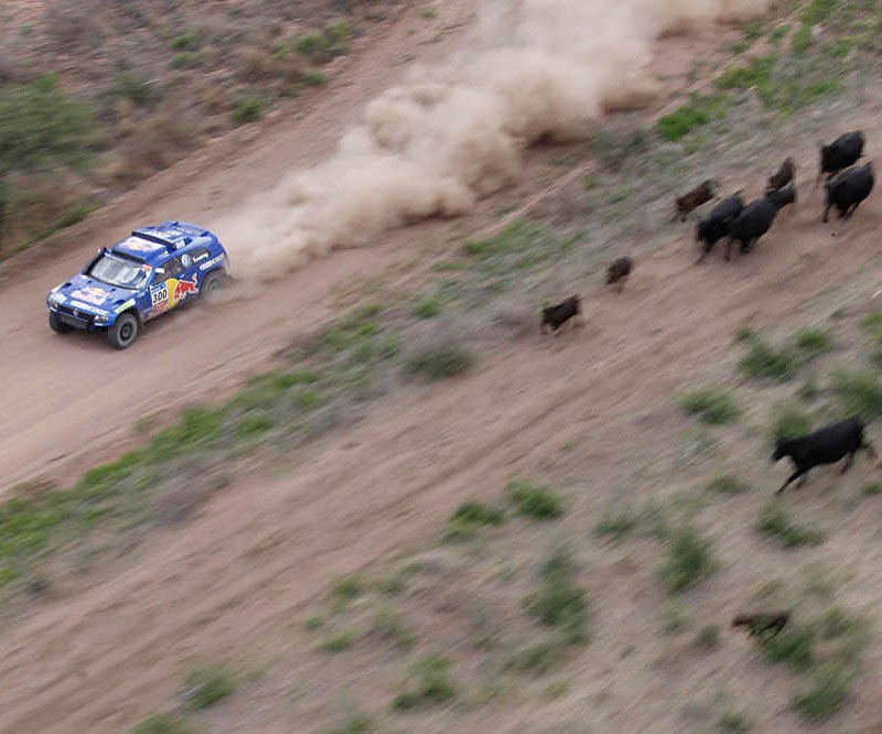Sainz and Despres continue Dakar fast start Sainz and Despres continue Dakar fast start