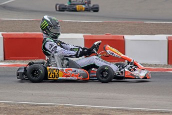 IMG_1736_600wide