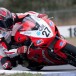 New Australian Superbike winners at Queensland Raceway New Australian Superbike winners at Queensland Raceway