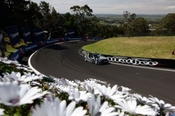 thumb 15 KR EV10 10 10 02990 344x229 Extra Kangaroo fencing to be erected at Bathurst
