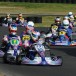 Stars of Karting set for a Kosmic battle Stars of Karting set for a Kosmic battle