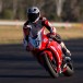 Jamie Stauffer takes pole at Queensland Raceway Jamie Stauffer takes pole at Queensland Raceway