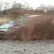 VIDEO: Brendan Reeves testing a Ford Fiesta World Rally Car VIDEO: Brendan Reeves testing a Ford Fiesta World Rally Car
