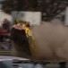 Scott Pye to miss Pukekohe after Symmons shunt Scott Pye to miss Pukekohe after Symmons shunt