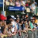 Last chance to have your say in our motorsport survey Last chance to have your say in our motorsport survey