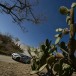 Latvala fastest in Rally Mexico shakedown Latvala fastest in Rally Mexico shakedown