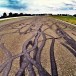 Track specialists to assess Winton failure Track specialists to assess Winton failure