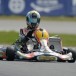 Race of Stars LIVE on Speedcafe this Saturday Race of Stars LIVE on Speedcafe this Saturday
