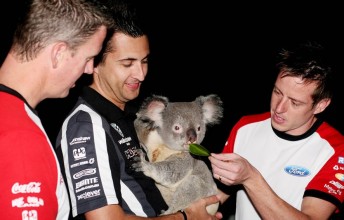 thumb Steve Johnson, Fabian Coulthard and James Courtney with a friendly local in Townsville