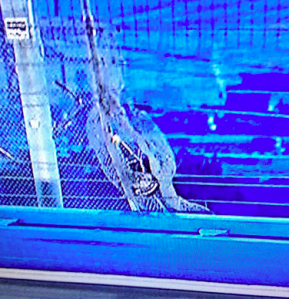 The damaged section of catch fencing at Fontana